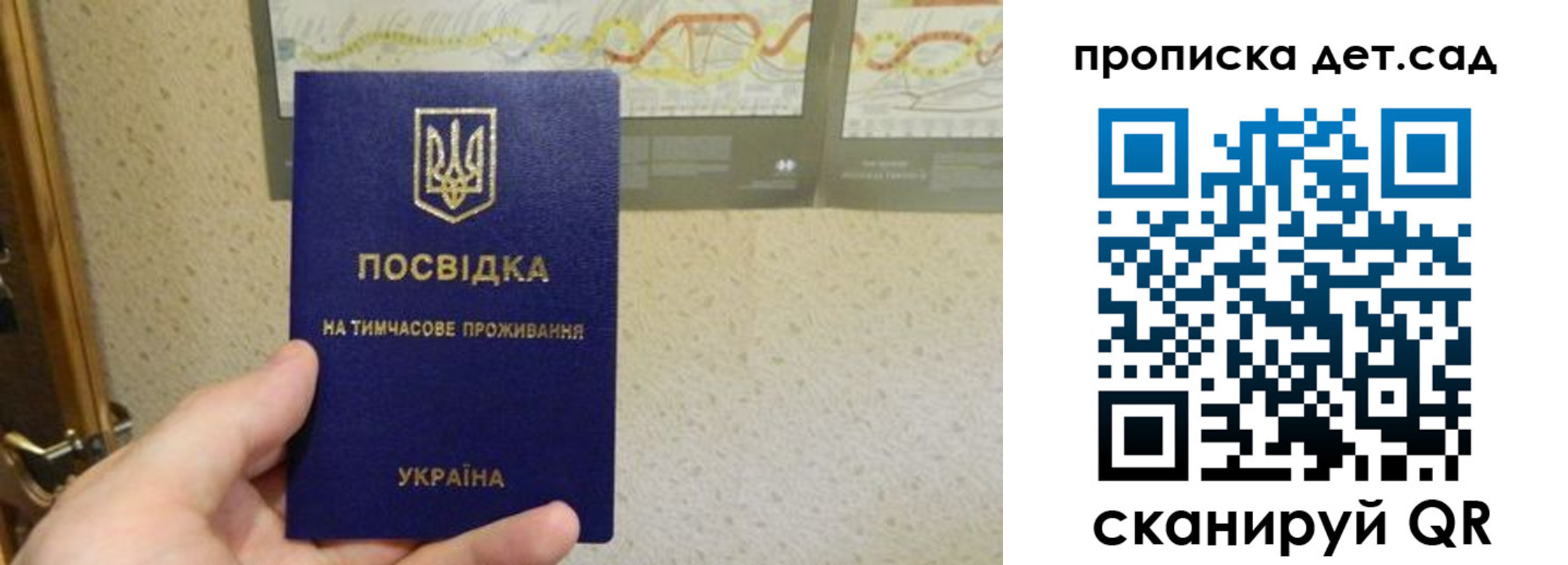 прописка для школы в Пересвете